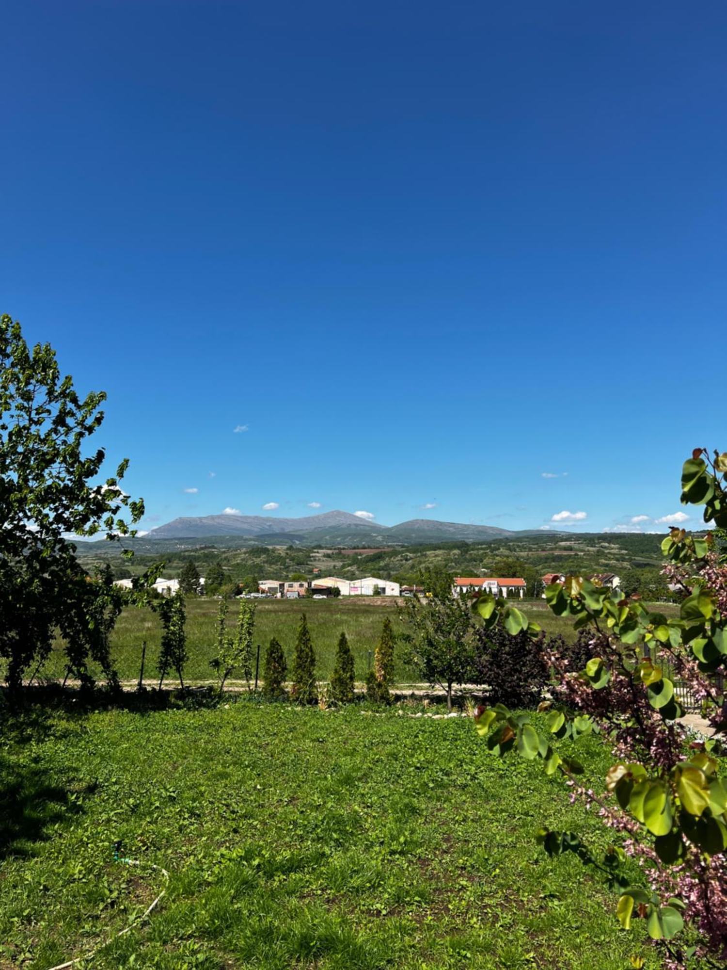 House Milovanovic Sokobanja Exterior foto