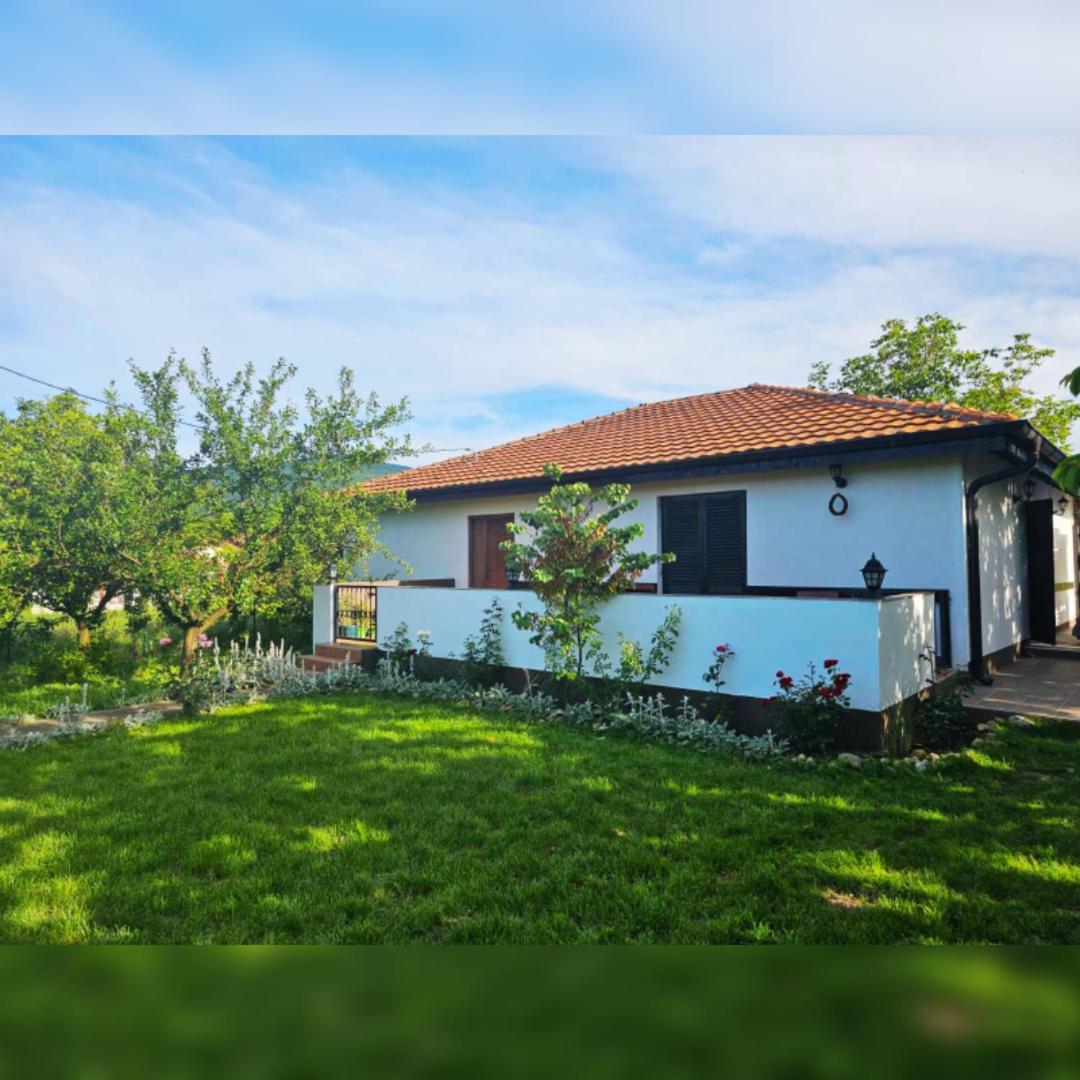 House Milovanovic Sokobanja Exterior foto